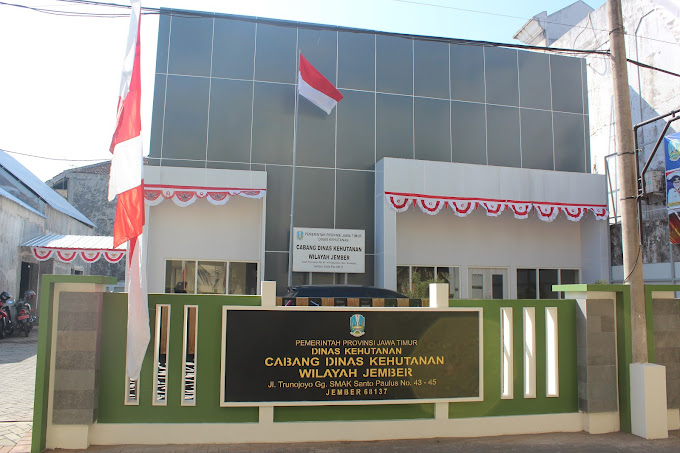 kantor cdk jember (1)