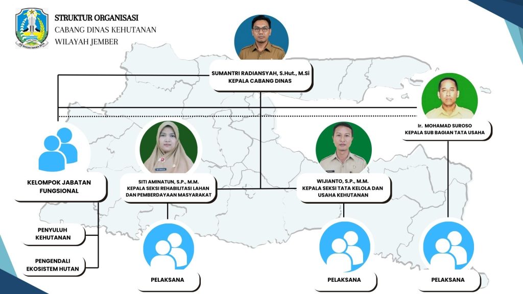 struktur organisasi.jpg
