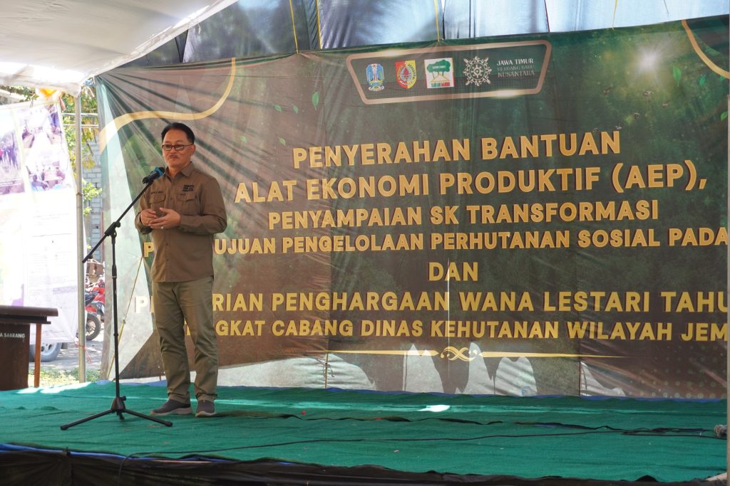 Peneyrahan AEP
